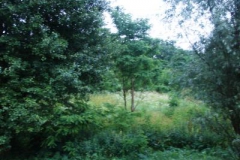 md_1005