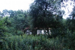 md_1006