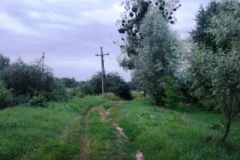 md_1007